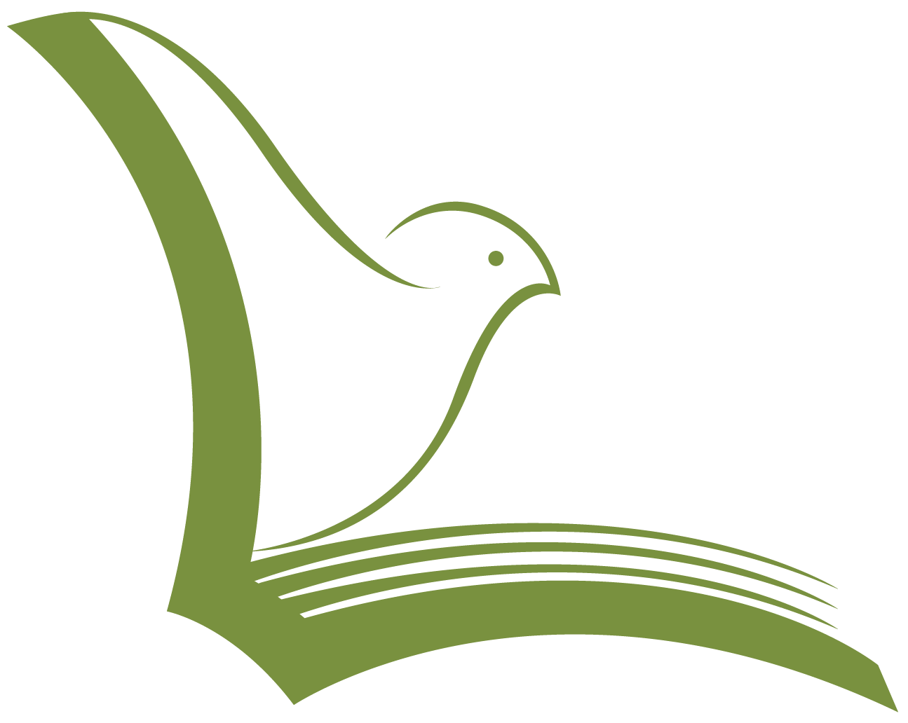 North Carolinian Youth For Education